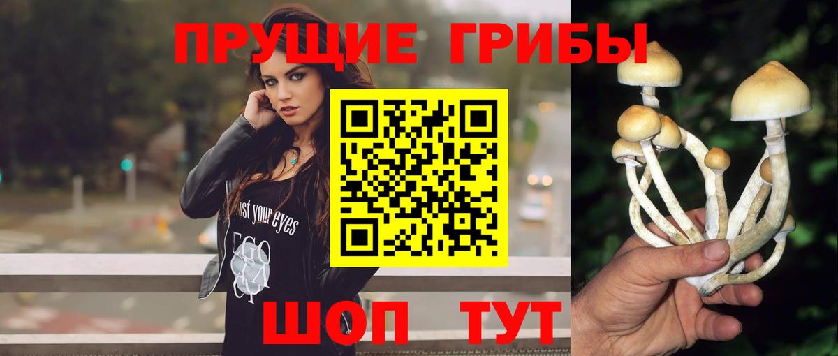 Псилоцибиновые грибы мухоморы  Вход с VPN  Павлово 